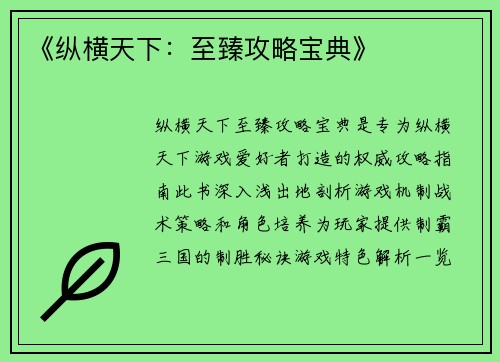 《纵横天下：至臻攻略宝典》