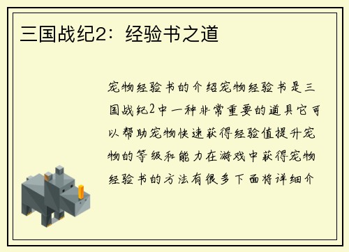 三国战纪2：经验书之道