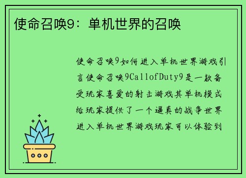 使命召唤9：单机世界的召唤